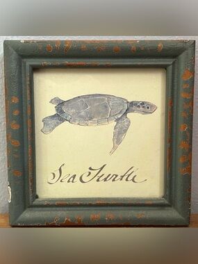 🌺Avery Tillmon Framed Sea Turtle Wall Art - Blue Turtle on Cream